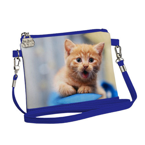 

Сумка для девочки Little fairy Рыжий котенок Presentville 18х14 см 000176499
