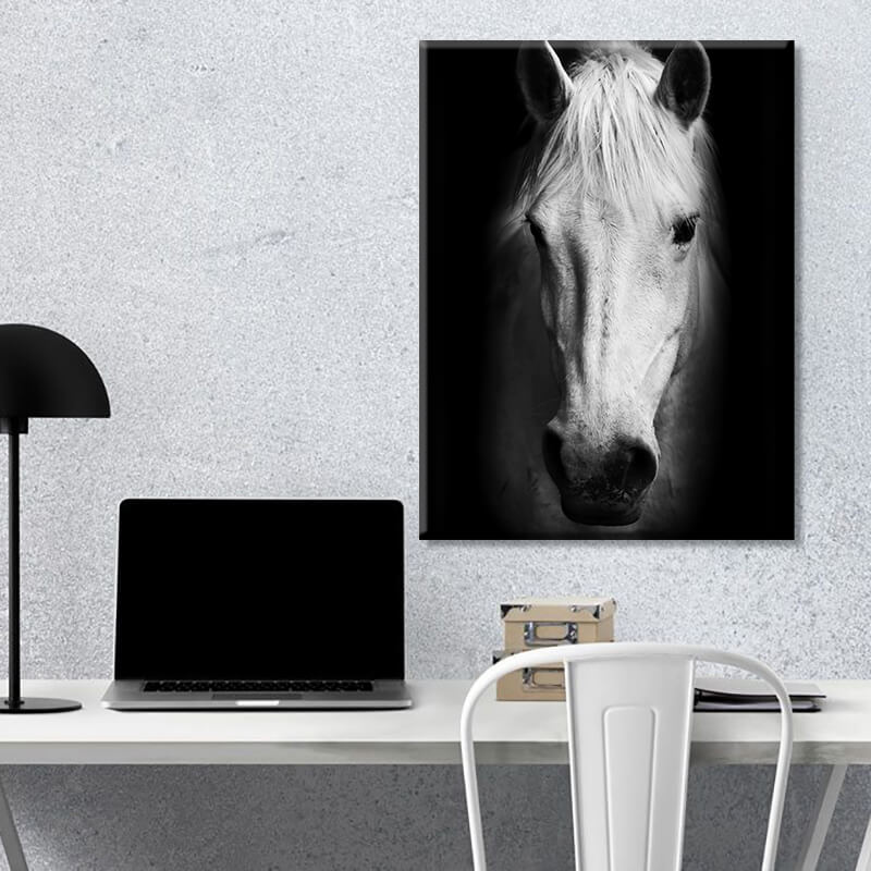 

Картина на холсте Животные White Horse 45х60 см.