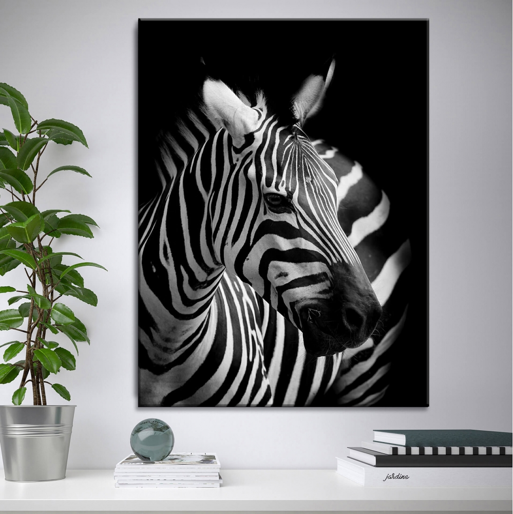 

Картина на холсте Животные White Zebra 75х100 см.