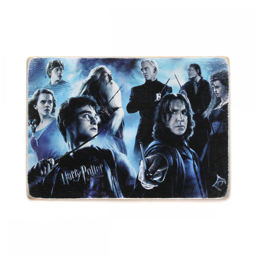 

Деревянный постер Фильмы и сериалы Harry Potter. Гарри Поттер. Все герои А1
