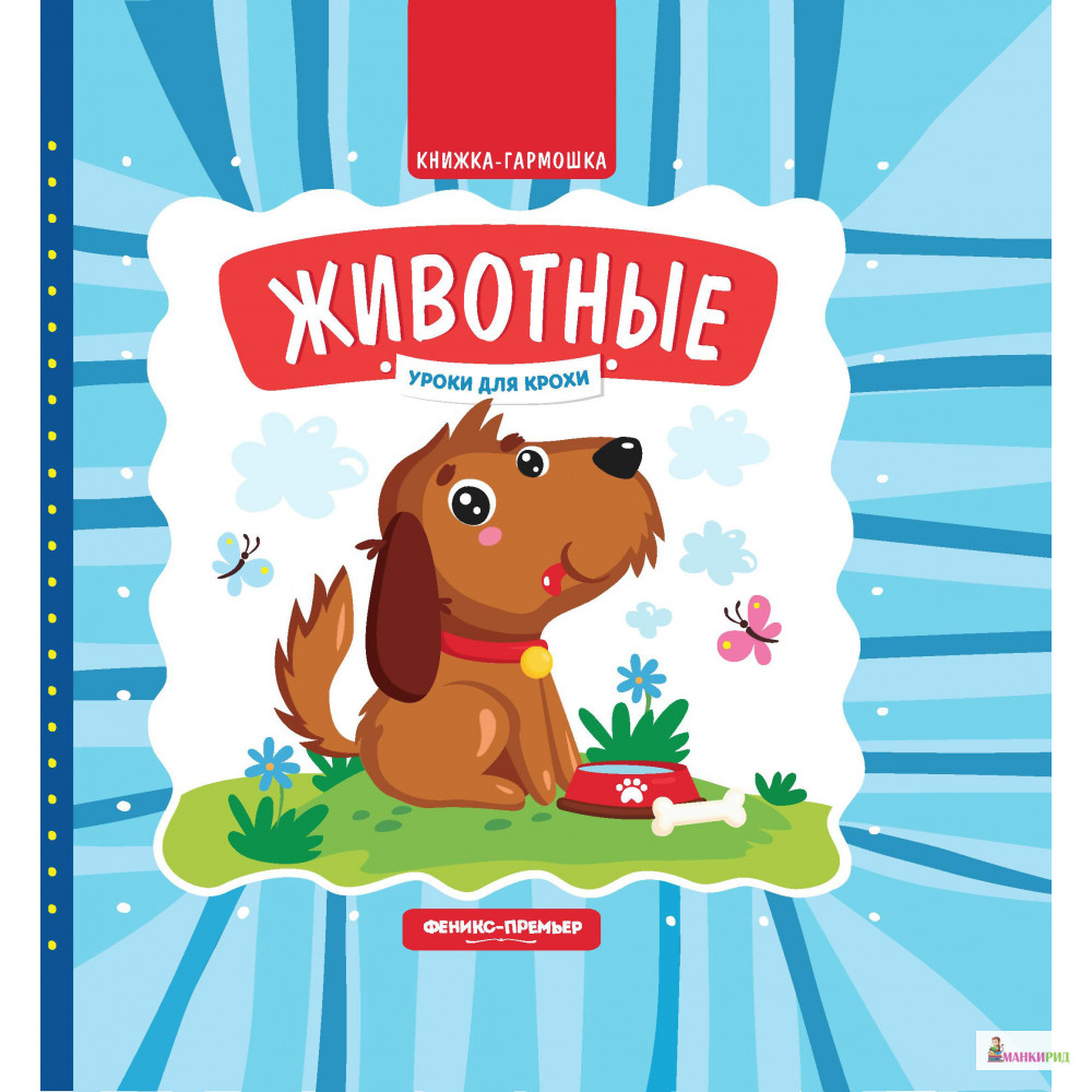 

Животные: книжка-гармошка - Елена Субботина - Феникс-Премьер - 822149