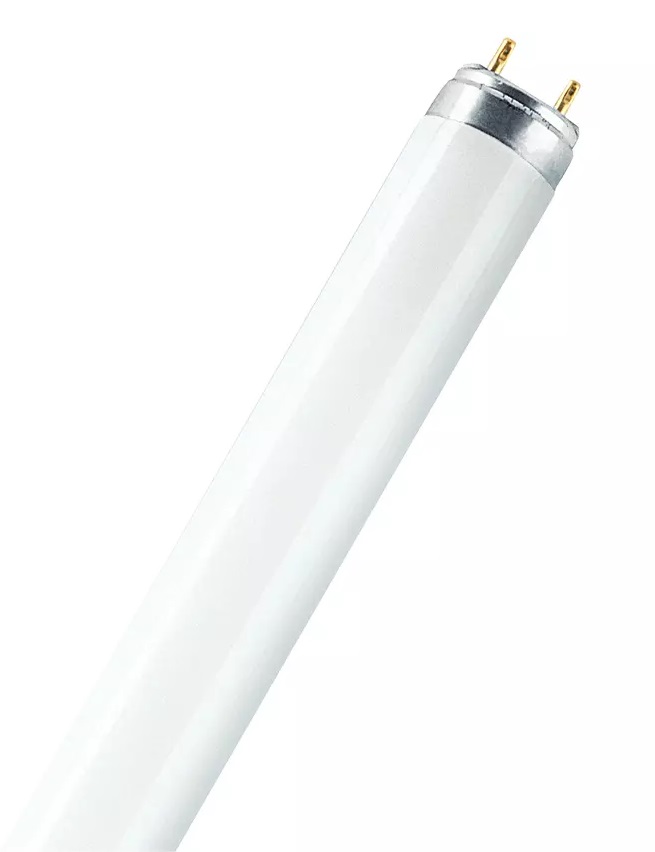 

Фітолампа LEDVANCE FLUORA L Т8 36W / 77 G13 / 1200мм / 1400Lm люмінесцентна