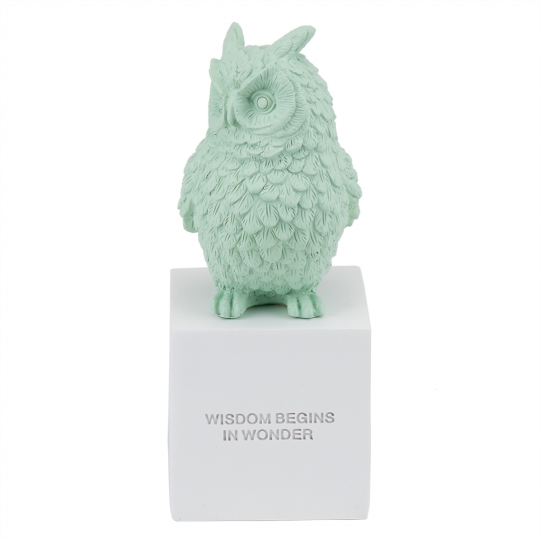 

Статуэтка Owl 25 см, бирюзовая (8924-009)Elso
