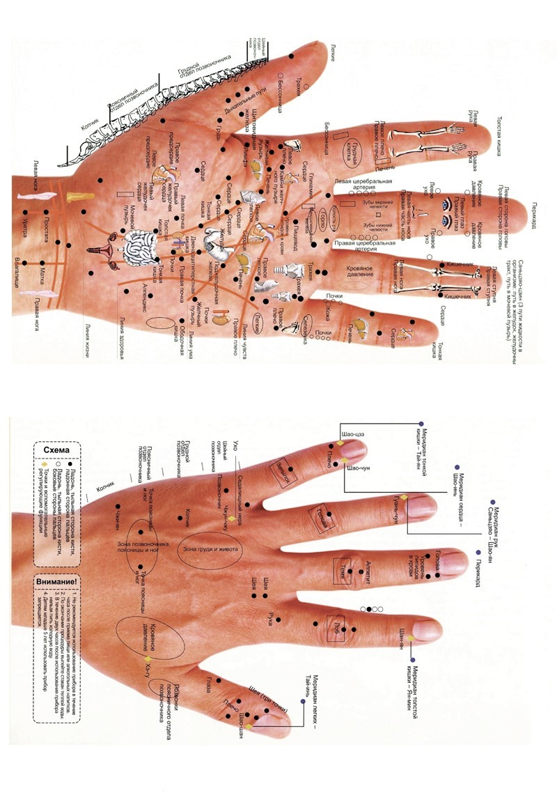 Точки на руках для массажа. Точки акупунктуры на руке человека. Точки акупунктуры на ладони правой руки. Точки акупунктуры на ладони левой руки. Акупунктура руки человека схема.