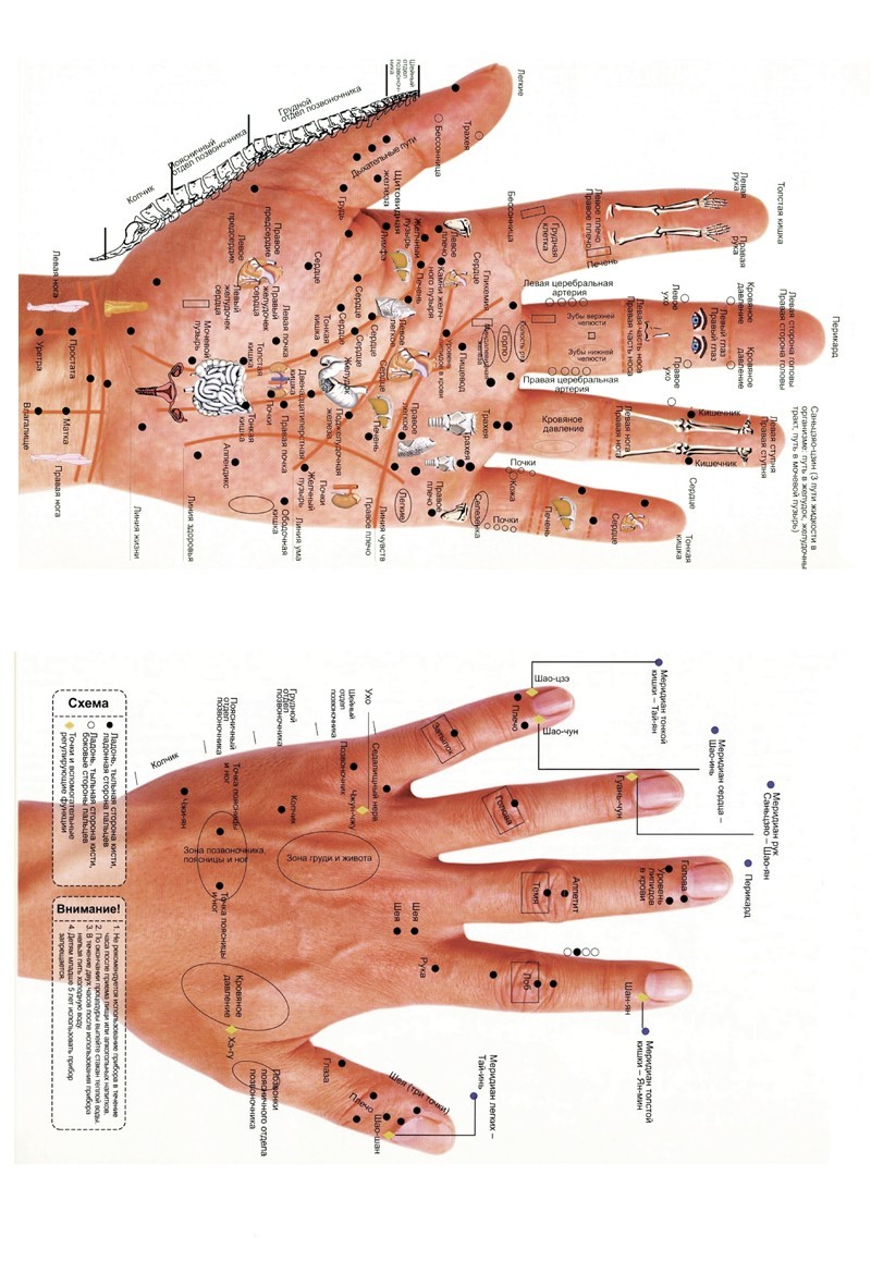 Схема точек на руках. Точки акупунктуры на ладони правой руки. Аккупунктура и аккупунктурные точки на руке человека. Точки акупунктуры на левой руке. Акупунктура кисти правой руки.