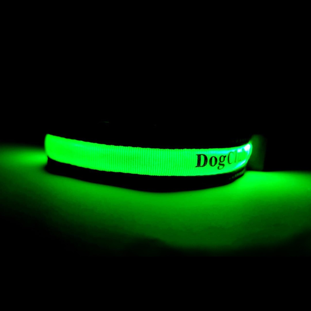 

Светящийся нейлоновый ошейник для собак DogClub Solar LUX S (32-42 см) Green