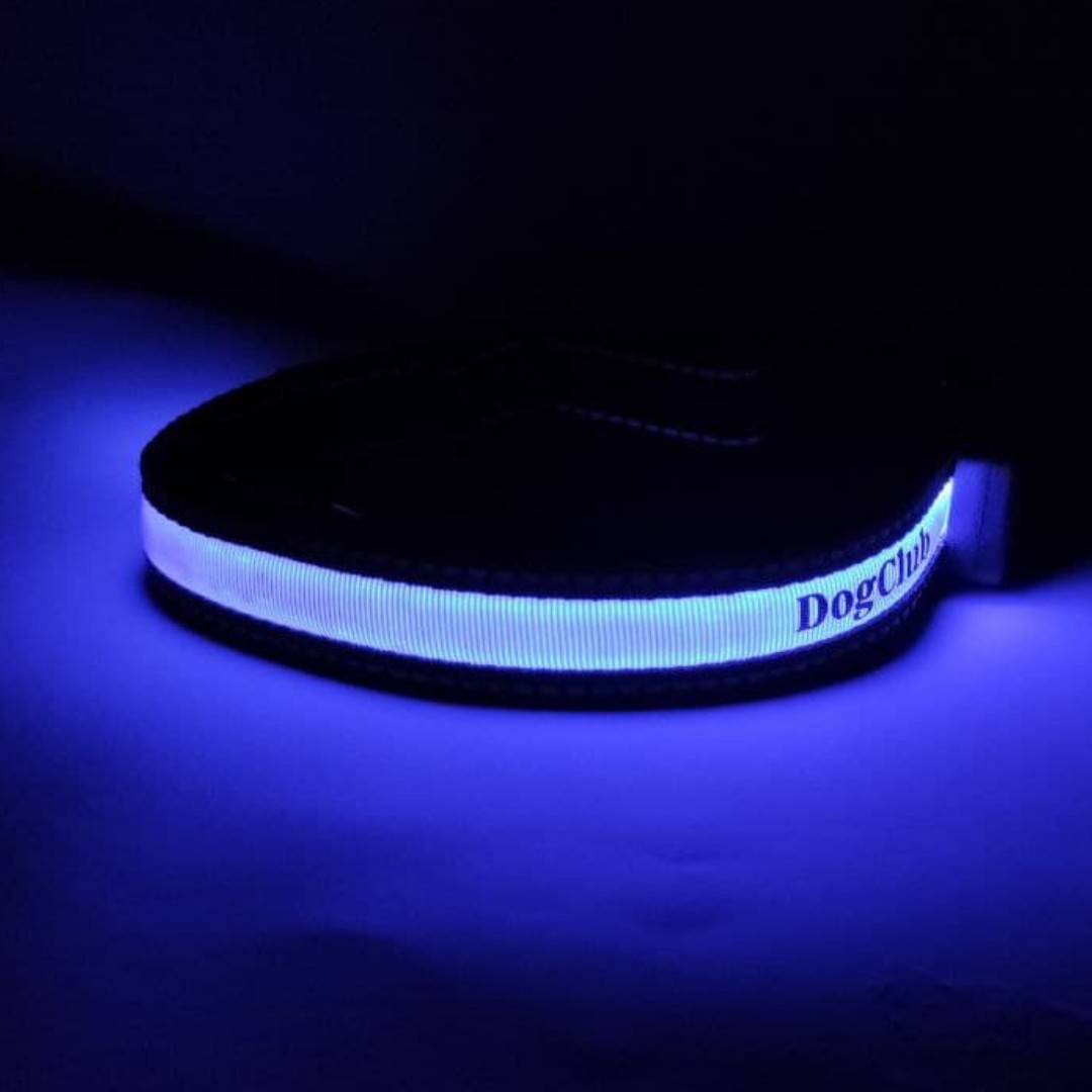 

Светящийся нейлоновый ошейник для собак DogClub Solar LUX M (40-51 см) Blue