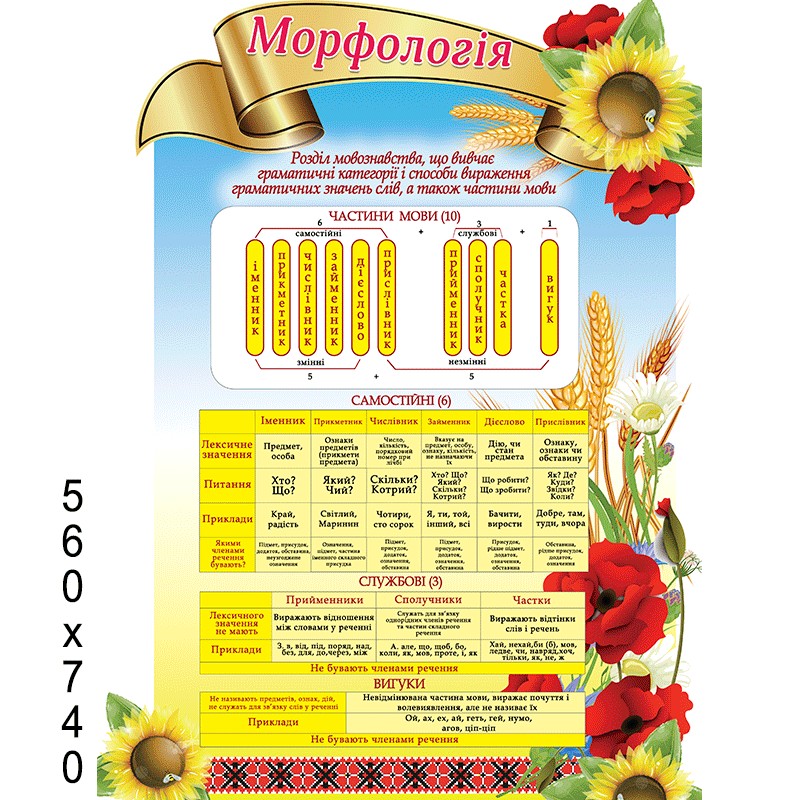 

Стенд "Морфология"