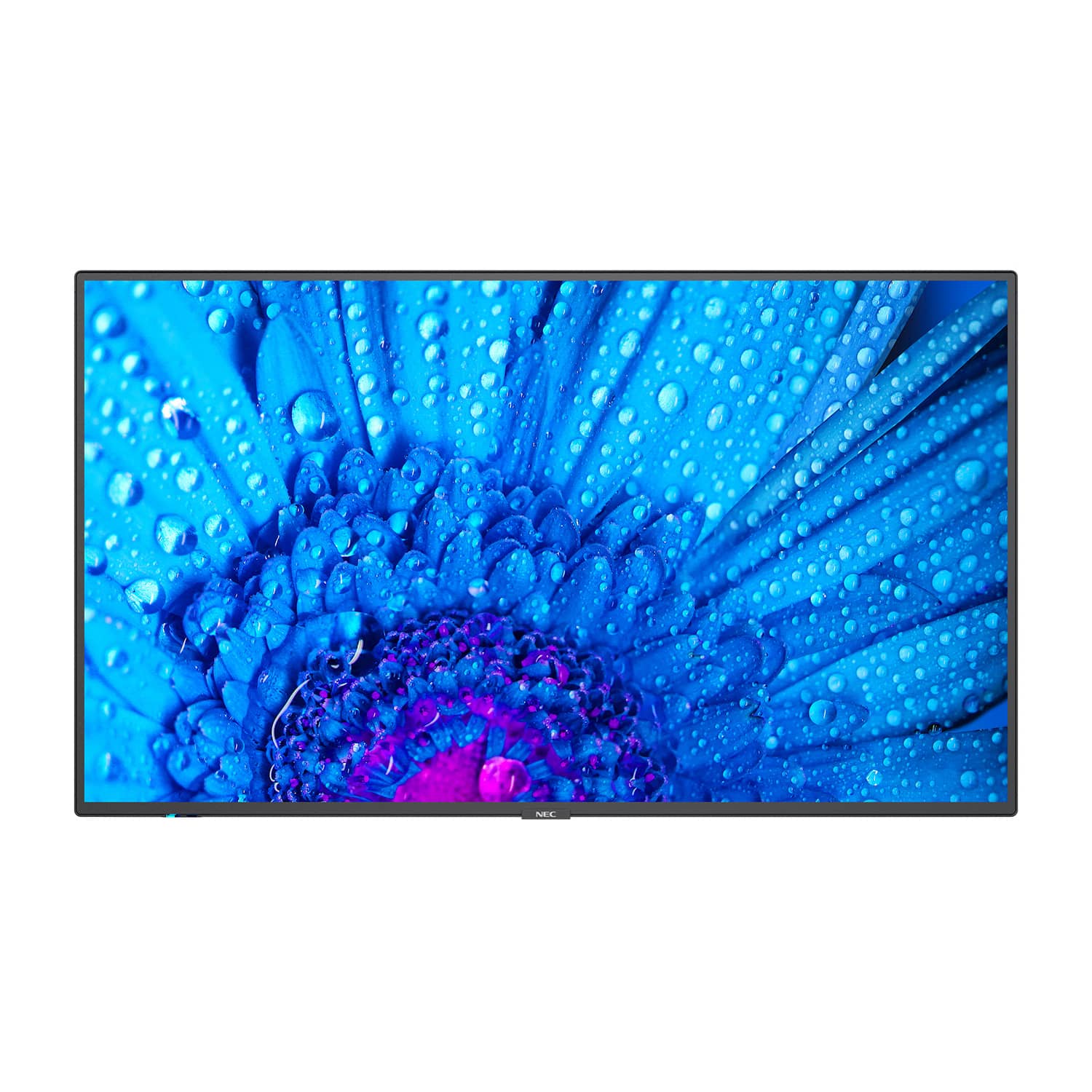 

Монитор Nec MultiSync M491 (