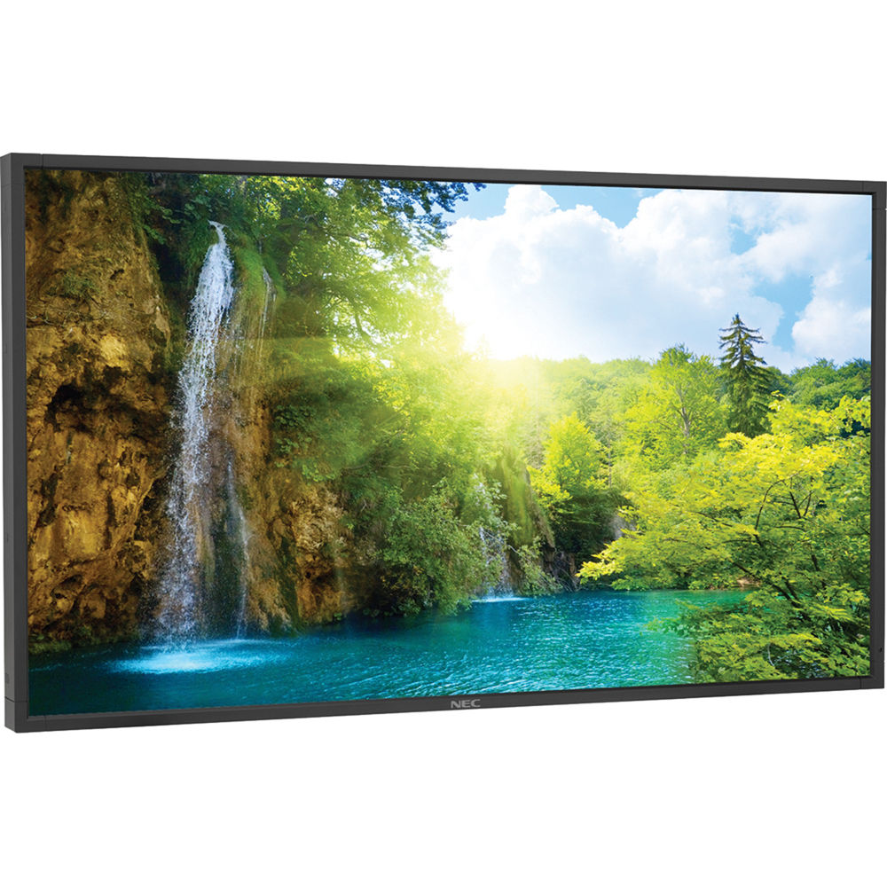

Монитор NEC P521