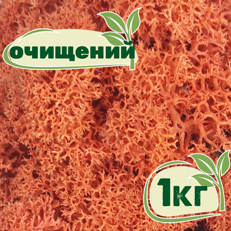 

Очищенный стабилизированный мох ягель Nordic moss Сиена 1 кг