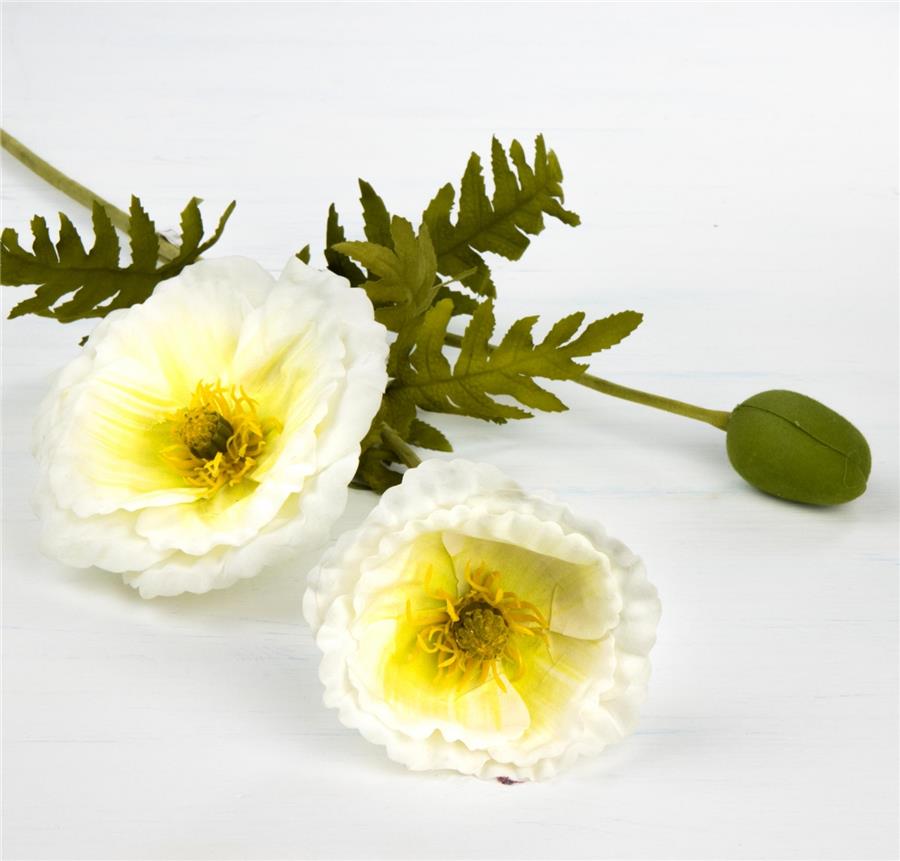 

Набор из 12 единиц. Мак (117 см) (002FY-1/CREAM), Elisey