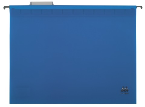 

Файл подвесной пластиковый Buromax А4 12 штук в упаковке синий (BM.3360-02)