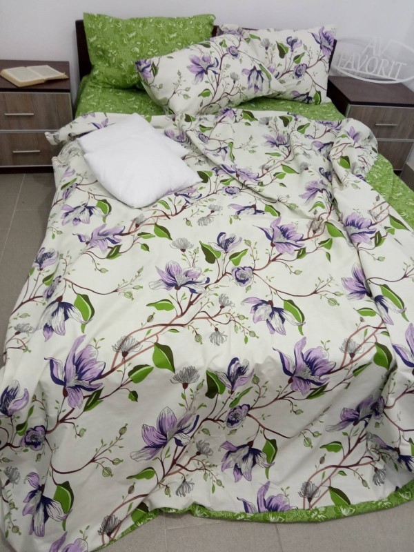 

Комплект постельного белья AV-favorit Бязь Люкс 150*220 Весенний (b-01121R-1)