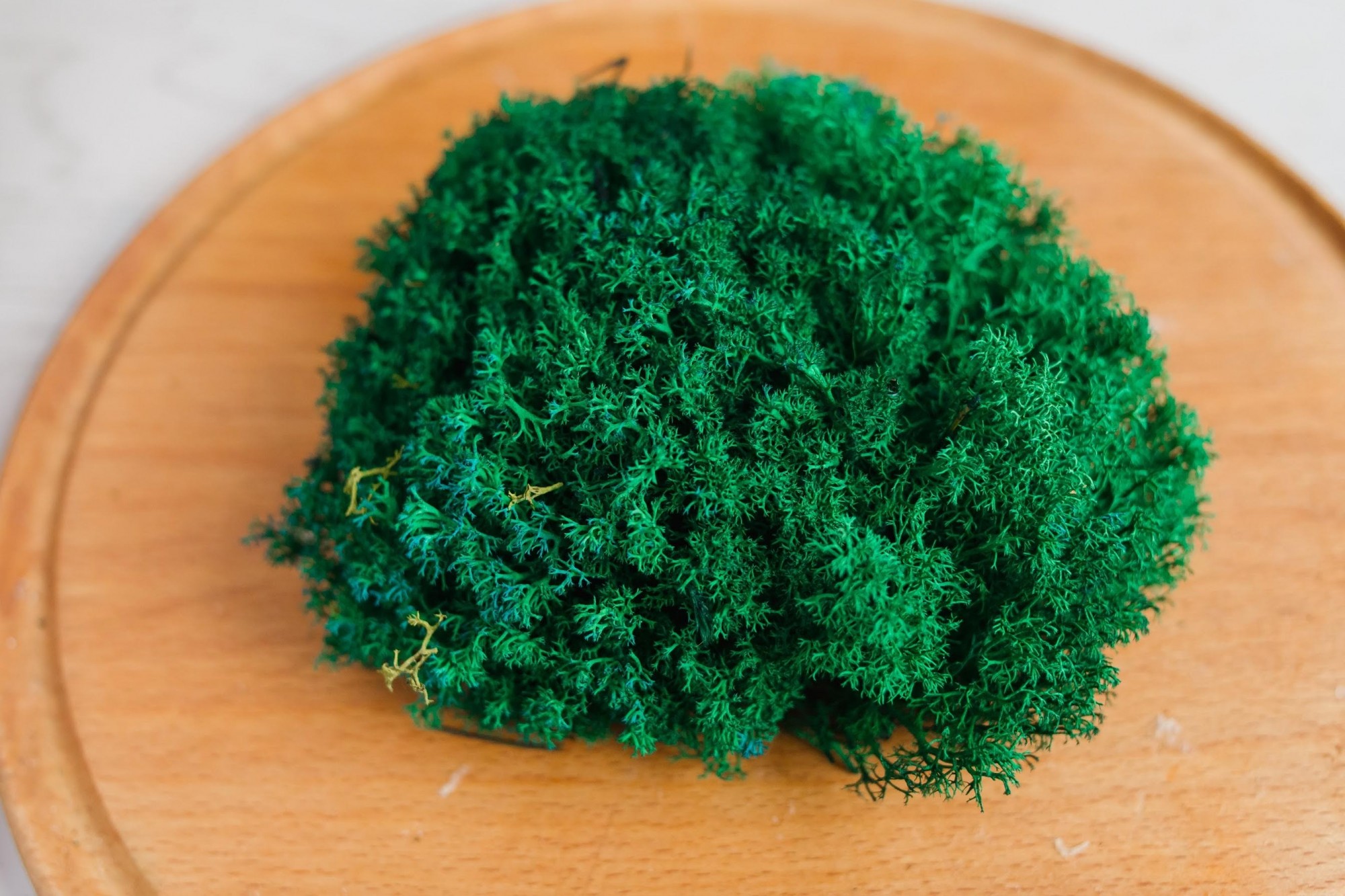 

Стабилизированный мох Green Ecco Moss Ягель Украинский Изумрудный 250 г