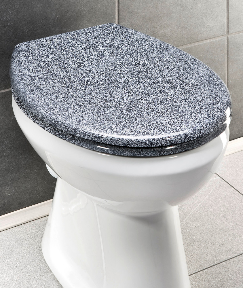 

Сиденье для унитаза Premium Wenko Ottana Granite Easy-Close, 37.5x44.5 см серый
