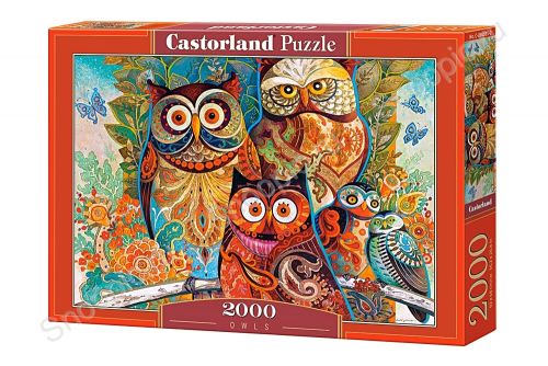 

Пазл Castorland Совы художника 2000 элементов