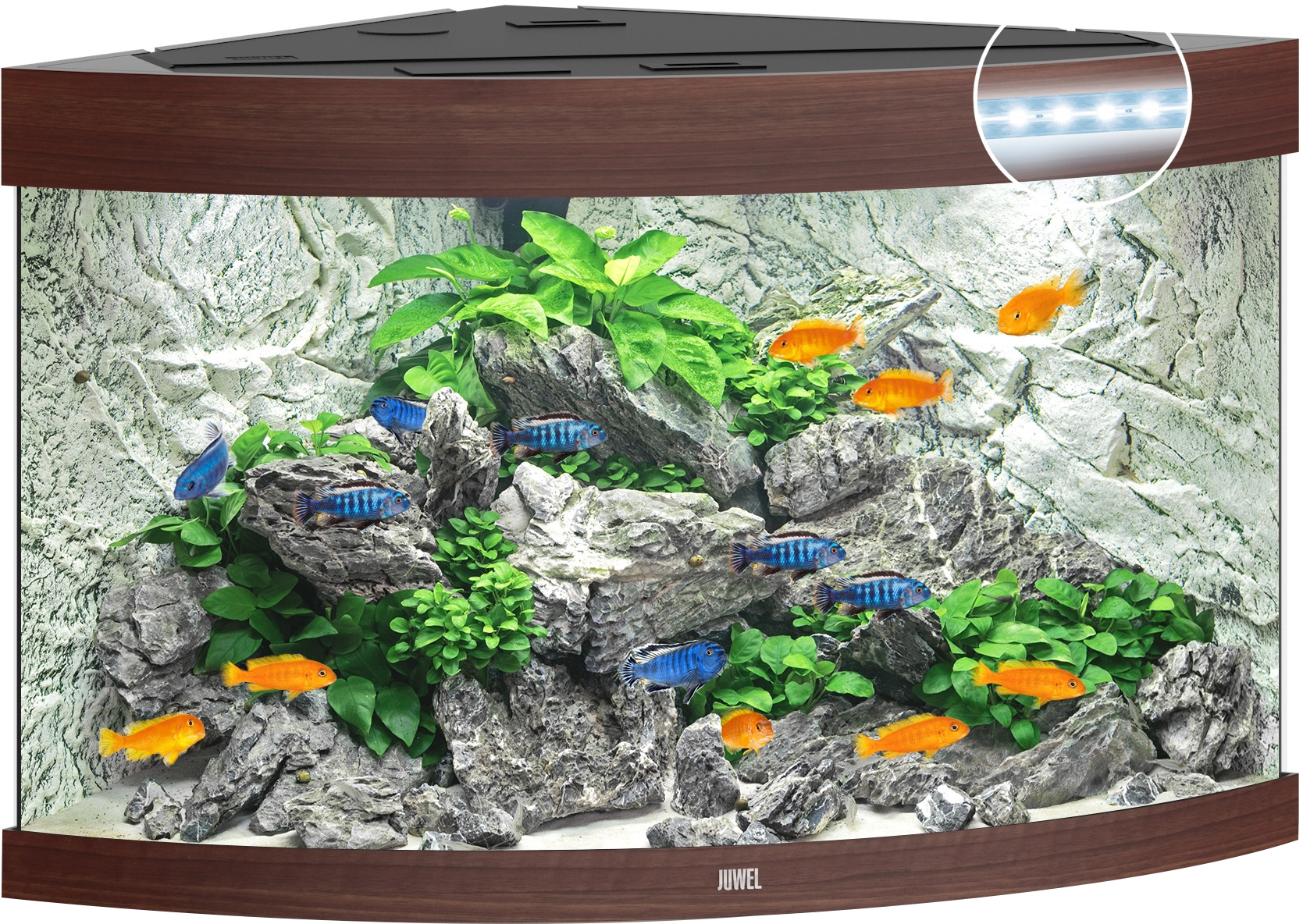 

Аквариум Juwel TRIGON 190 LED освещение Коричневый