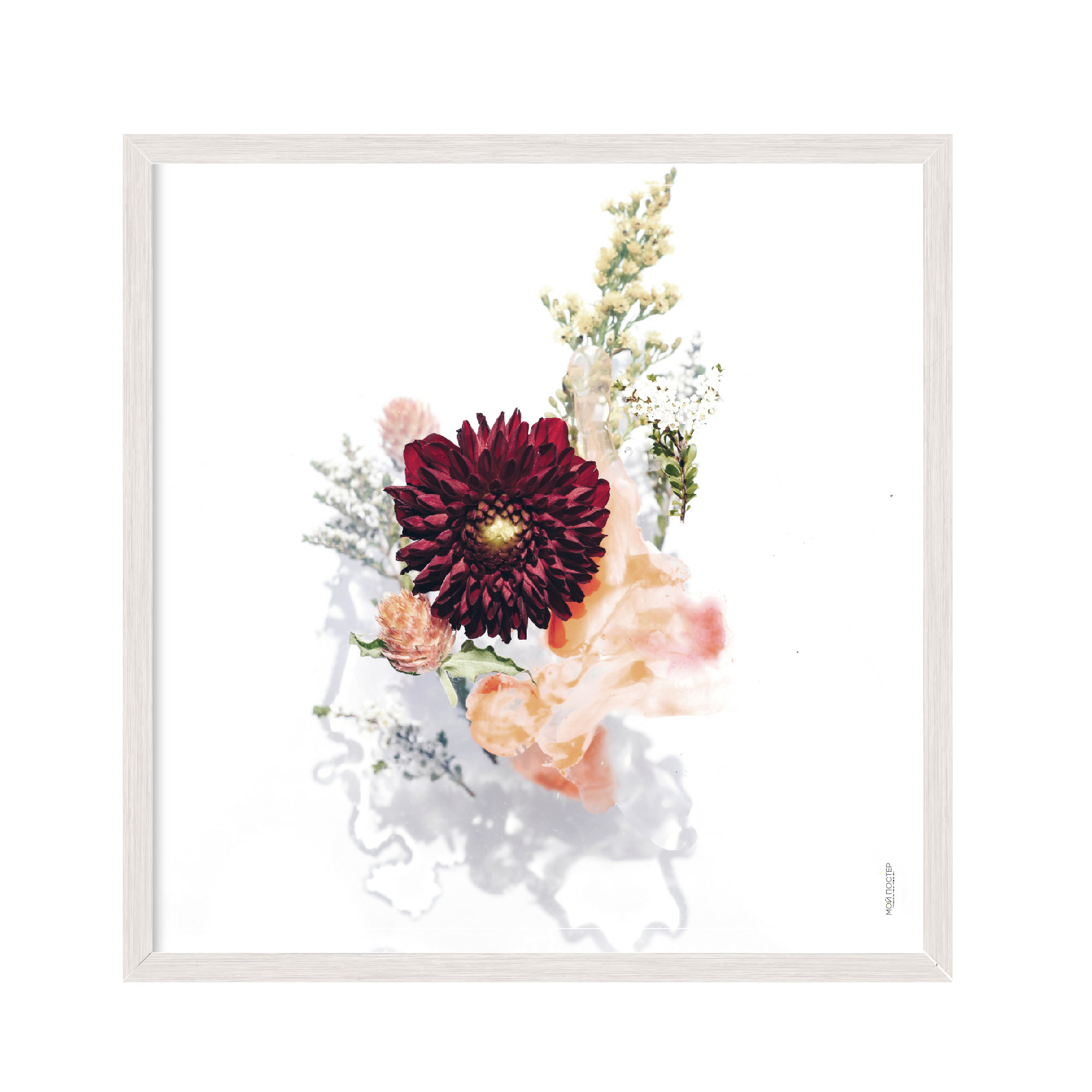 

Постер "Flowers 03" без стекла 60 x 60 см в белой рамке