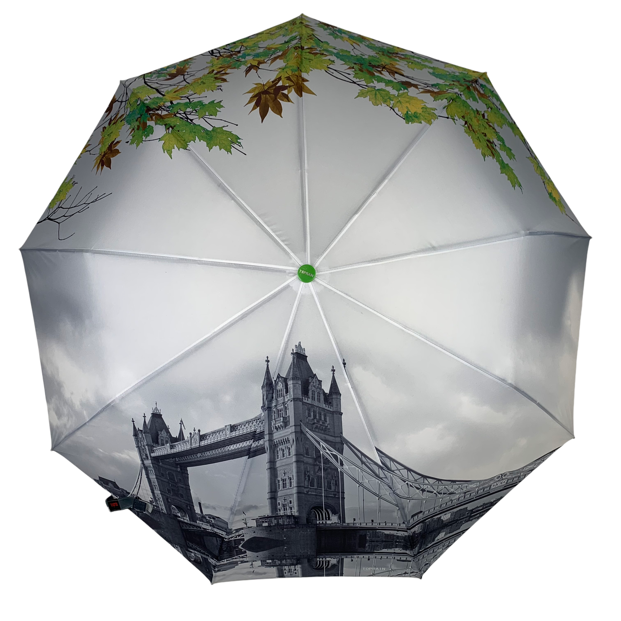 

Женский зонт полу-автомат TOPRAIN 9 спиц анти-ветер (TOPRAIN544-3)