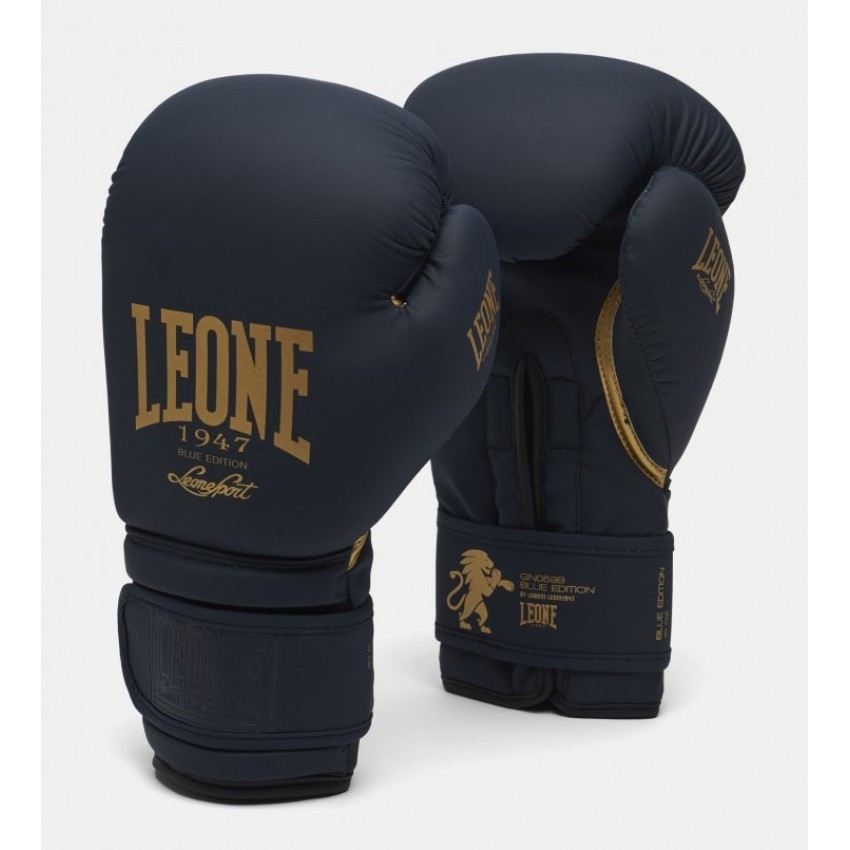 

Боксерские перчатки Leone Mono Blue 14 унций Синие с золотистым (2734_500118)