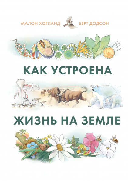 

Как устроена жизнь на Земле (978-5-00146-937-7 - 120776)