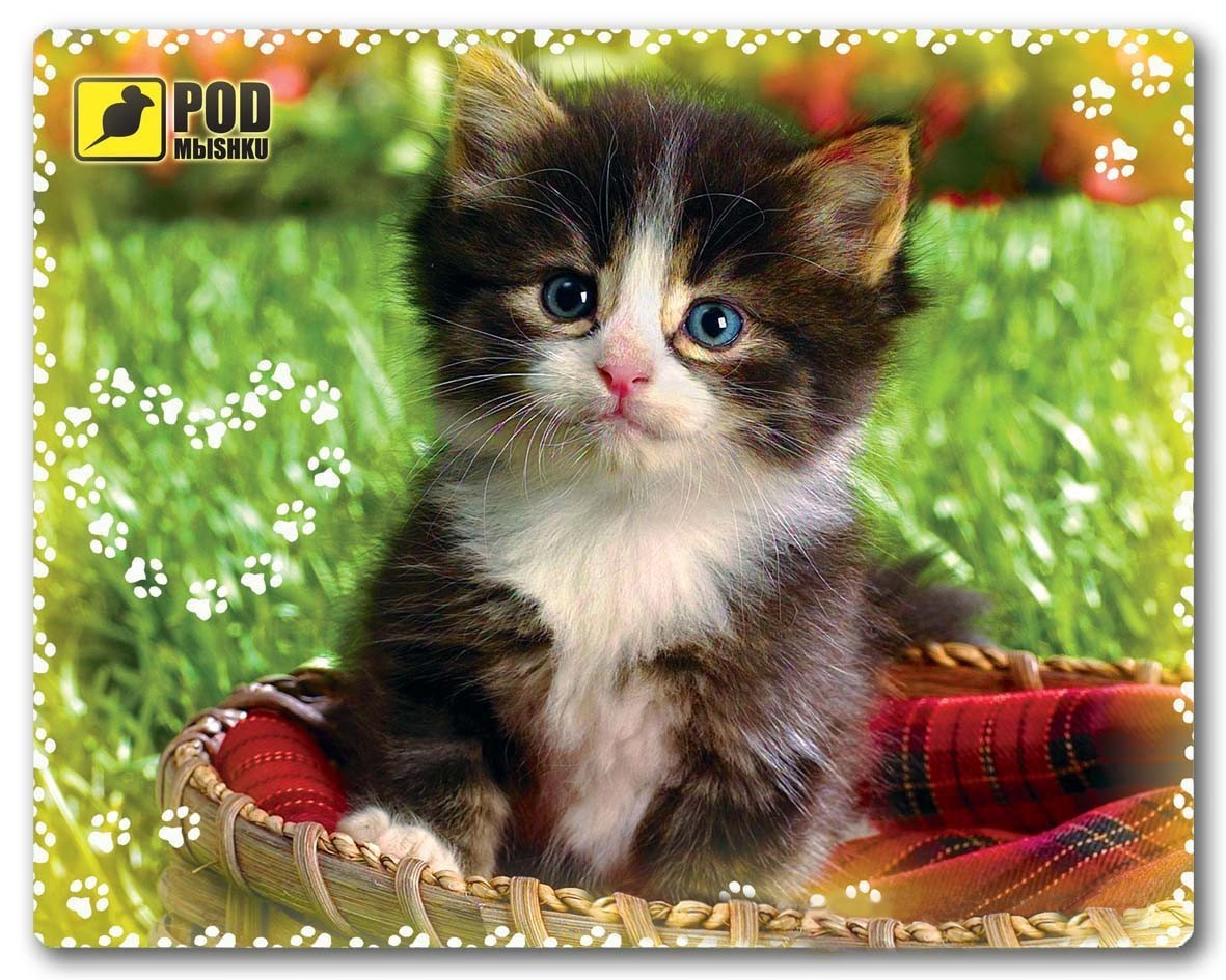 

Коврик для мыши Podmyshku Котенок в корзине
