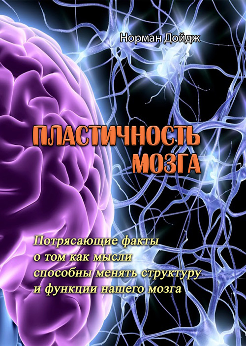 

Пластичность мозга. Потрясающие факты о том как мысли способны менять структуру и функции нашего мозга