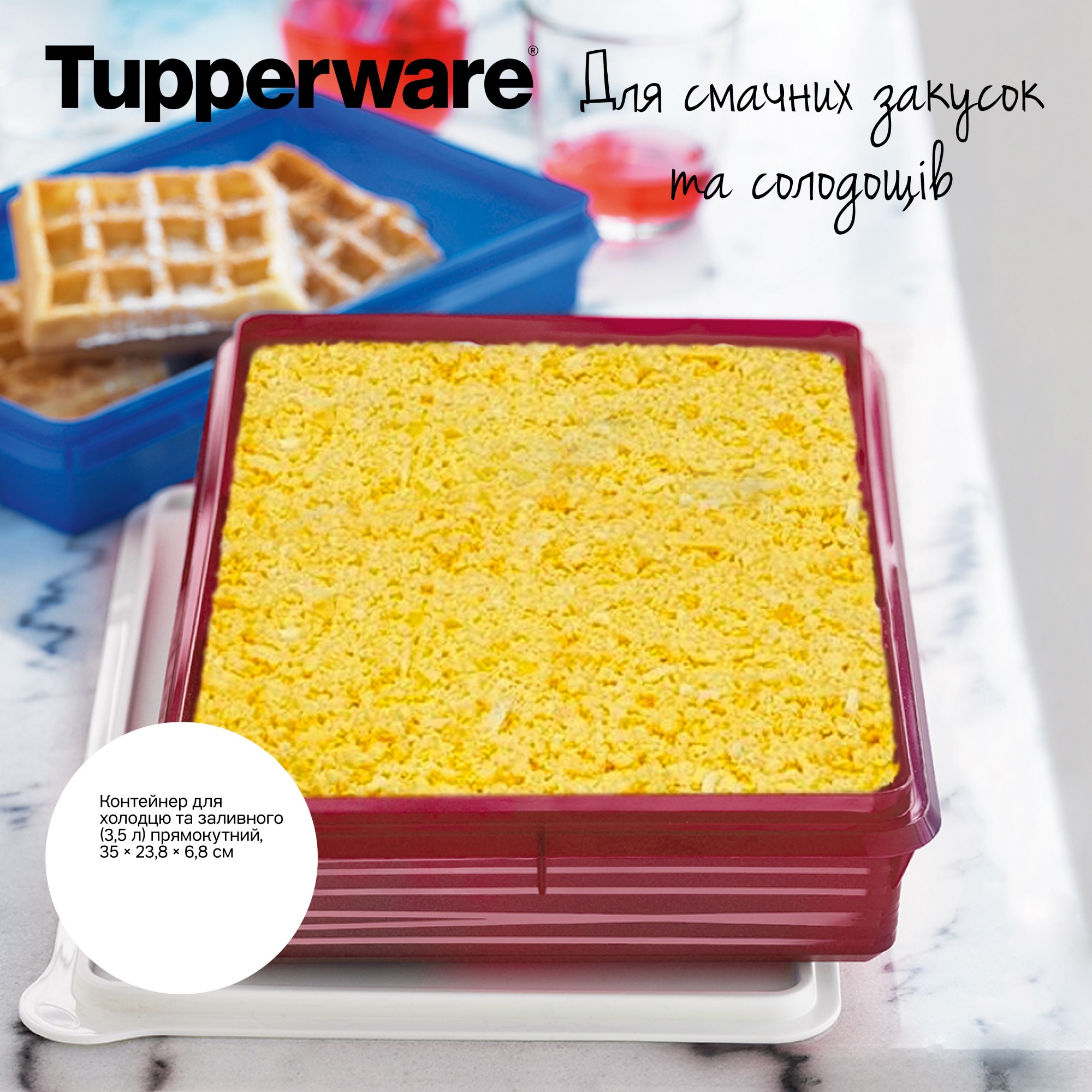 Пищевые контейнеры Tupperware 3.1 - 4 л купить на ROZETKA: цена, отзывы