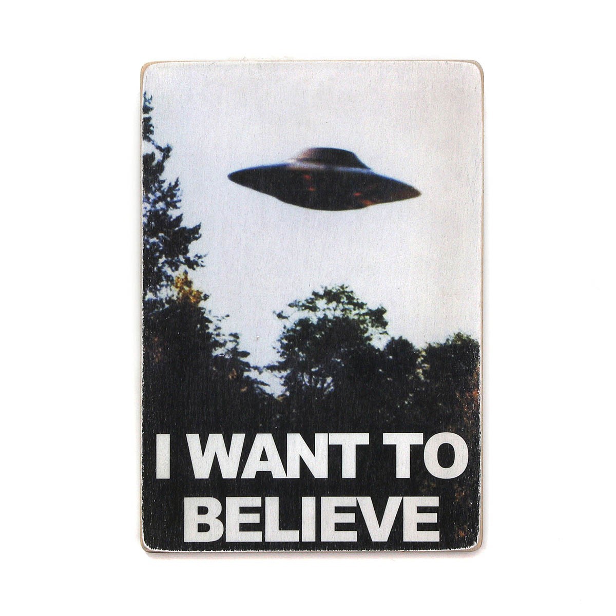 

Деревянный постер Wood Posters "The X-Files. I want to believe" (A2 формат, фанера)