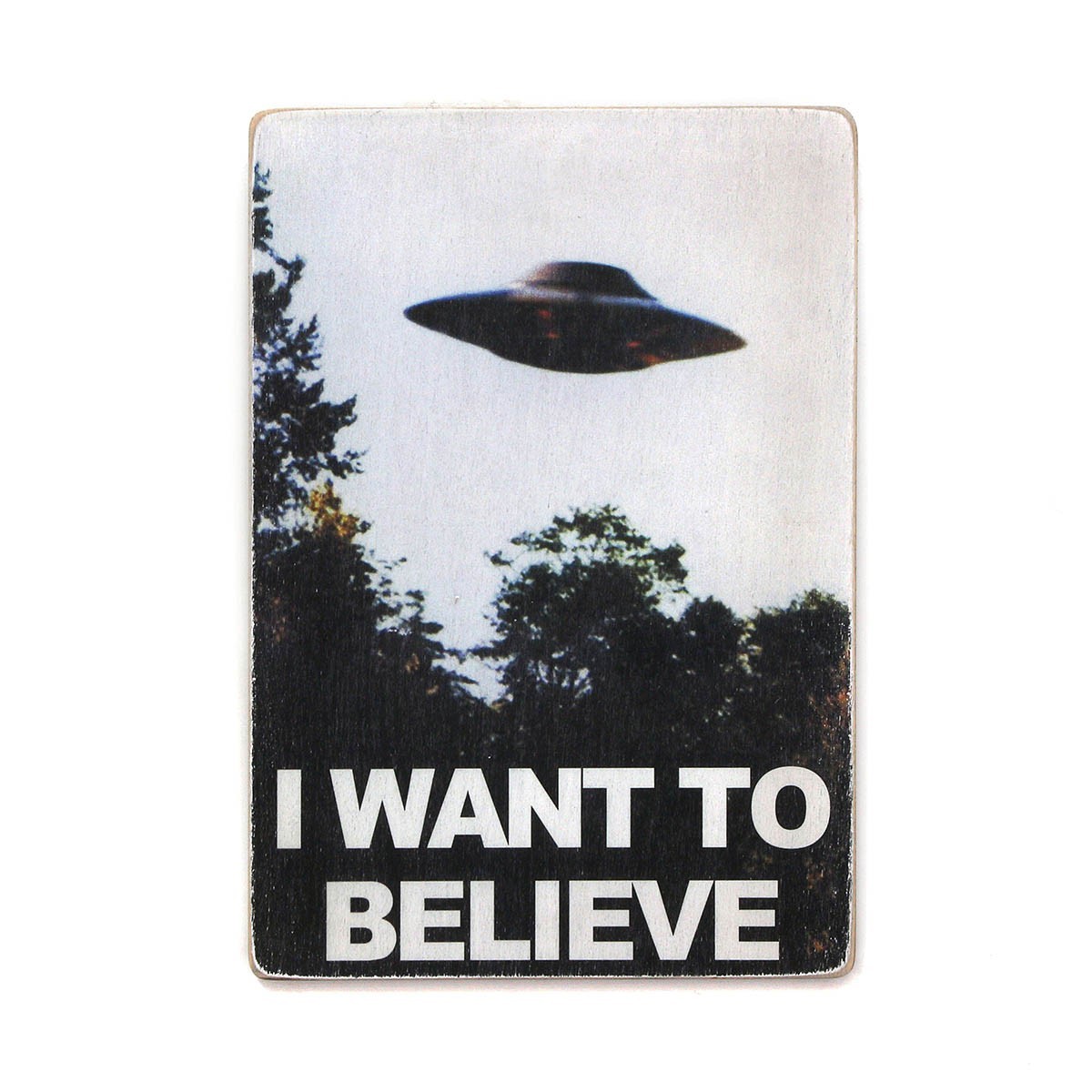 

Деревянный постер Wood Posters "The X-Files. I want to believe" (A1 формат, фанера)