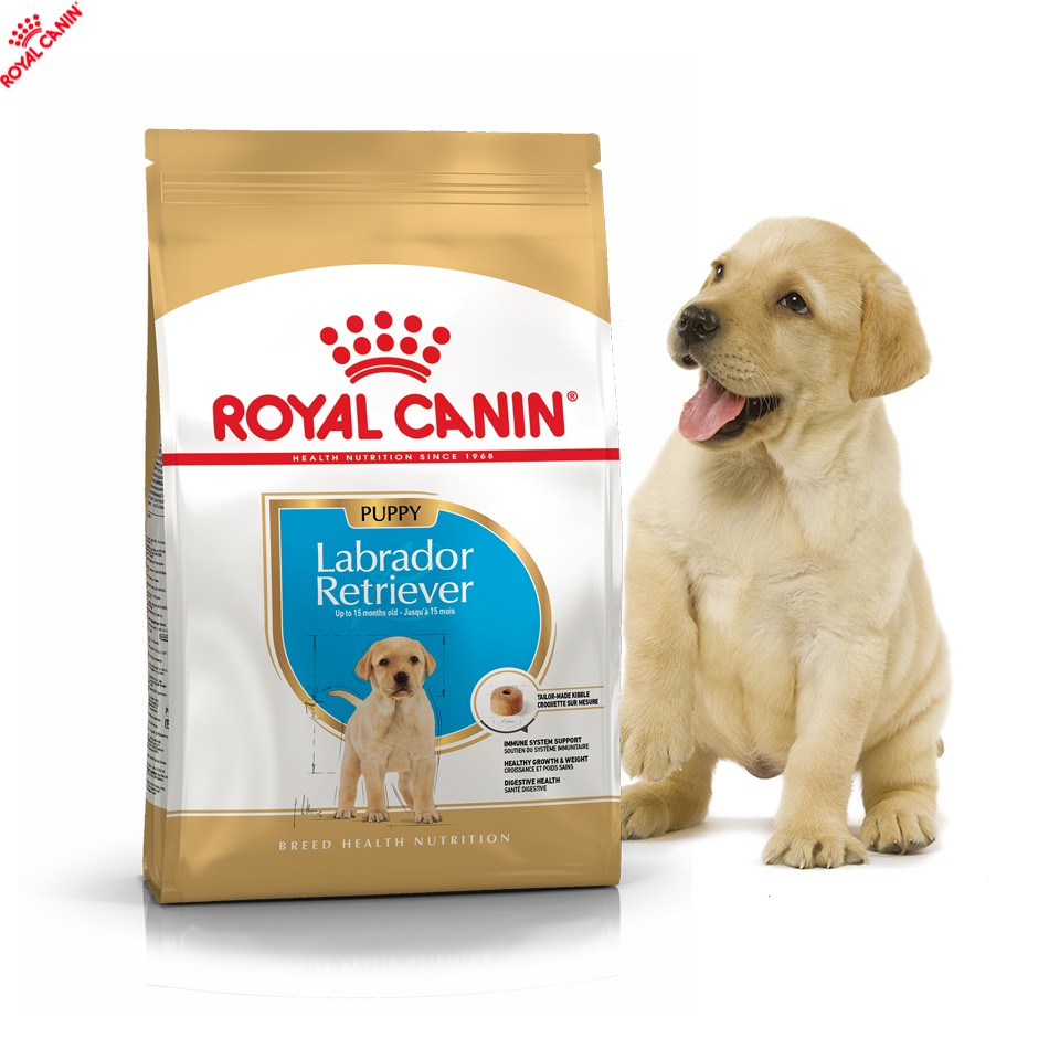 

Сухой полнорационный корм Royal Canin Labrador Retriever Puppy - корм для щенков лабрадор ретривера до 15 месяцев 12 кг (24910301)