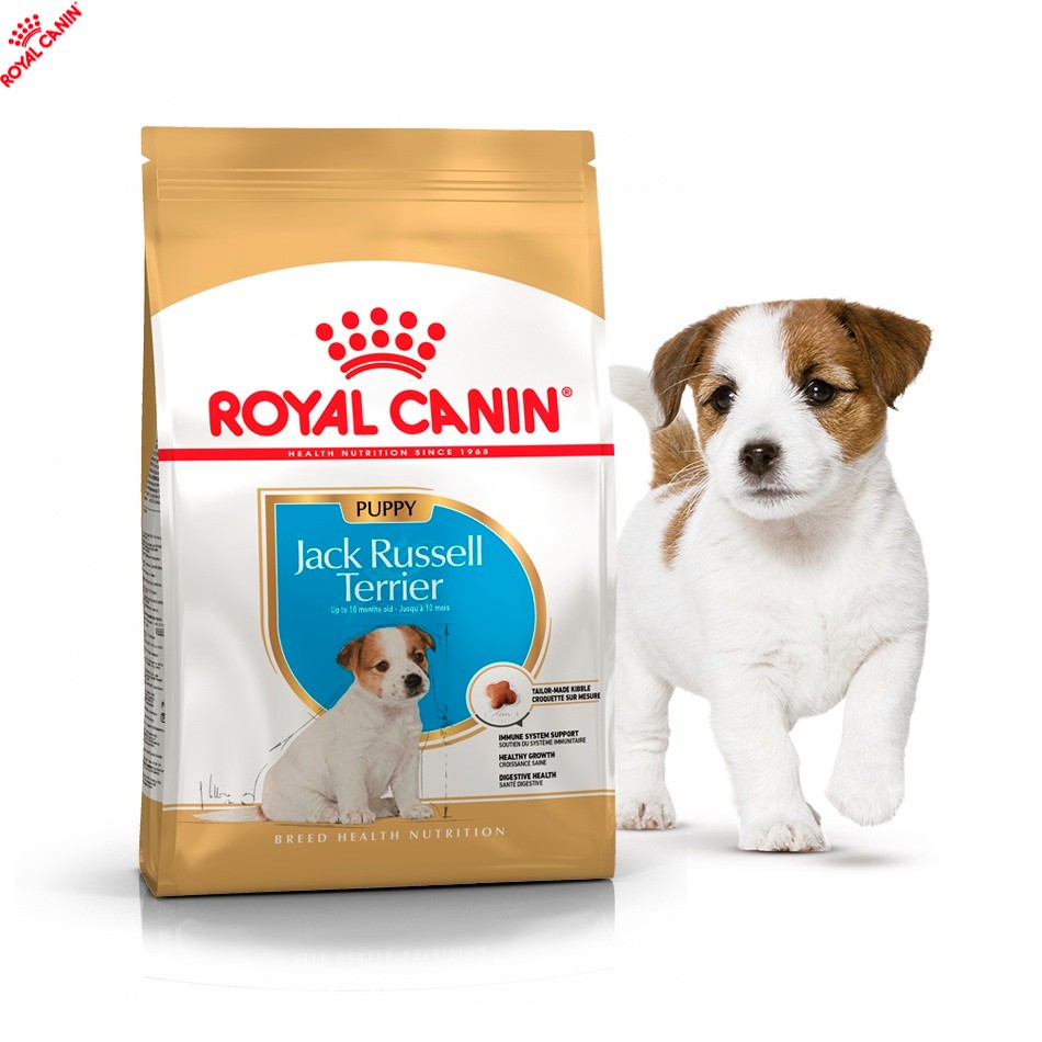 

Сухой полнорационный корм Royal Canin Jack Russell Terrier Puppy корм для щенков джек-рассел-терьера 1.5 кг (21010051)