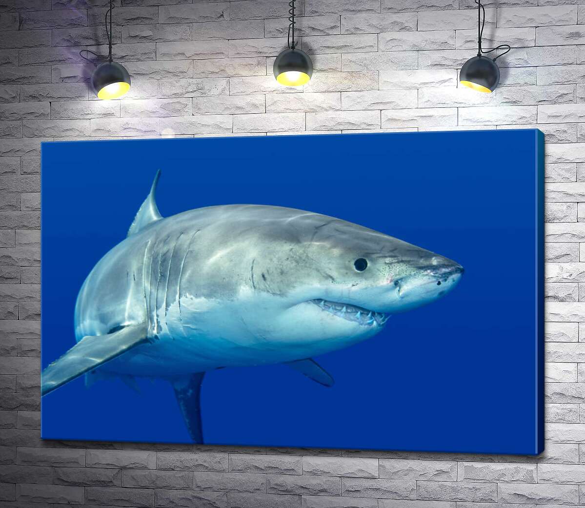 

Картина ArtPoster Белая акула плавает в голубой воде 100x67 см Модуль №1