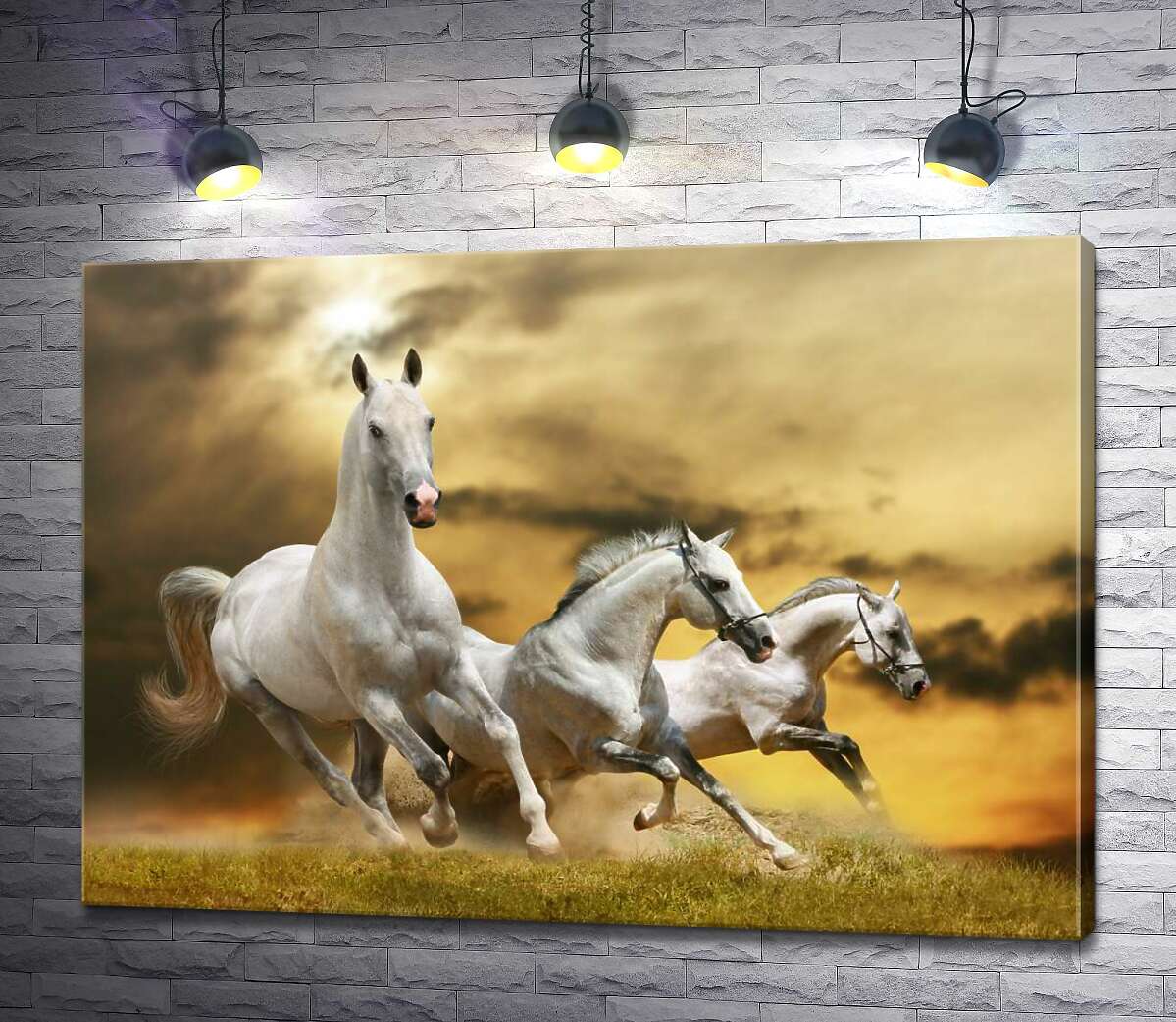 

Картина ArtPoster Быстрый галоп трех белых коней 130x93 см Модуль №1