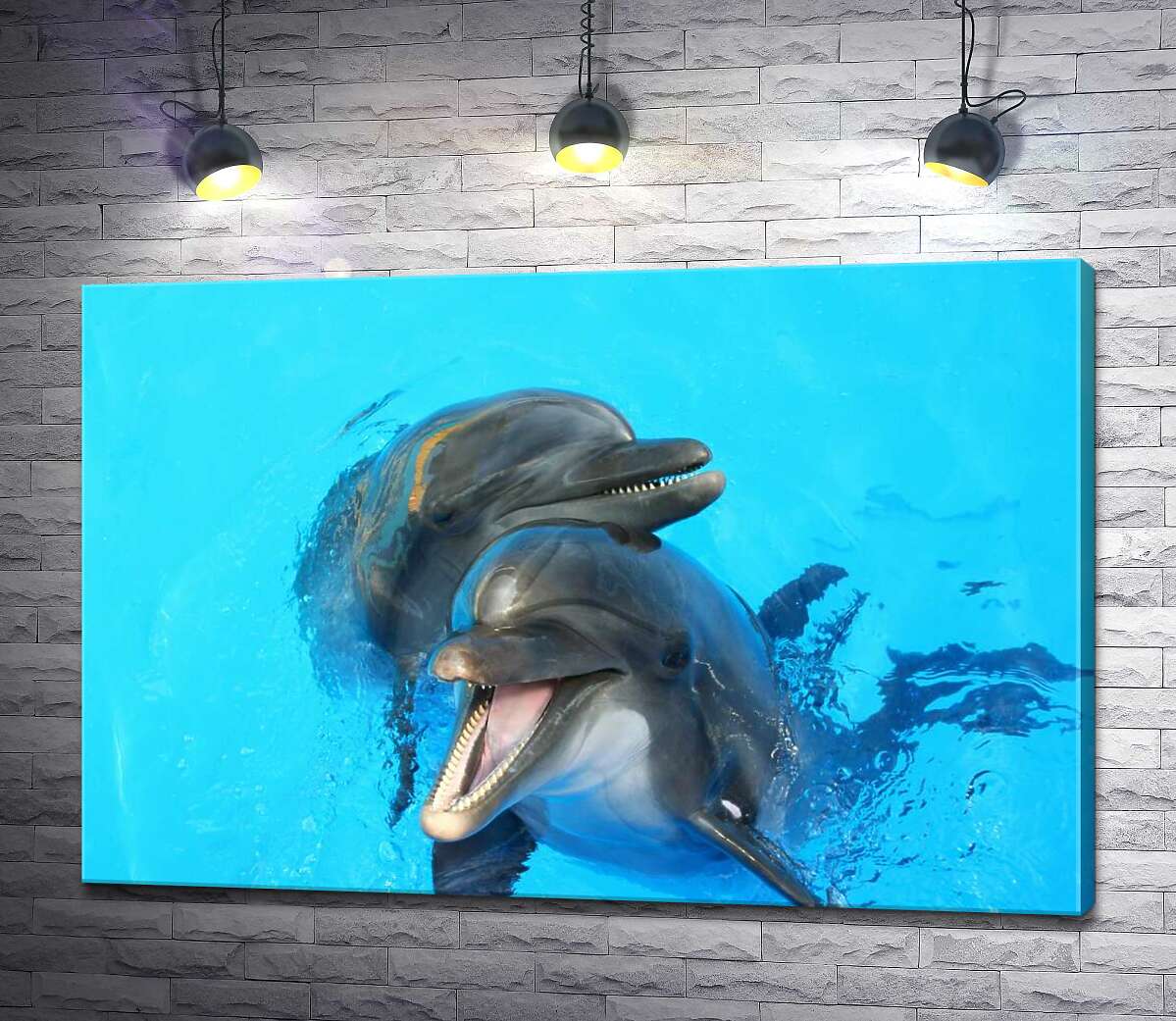 

Картина ArtPoster Два дельфина выглядывают из голубизны воды 130x87 см Модуль №1