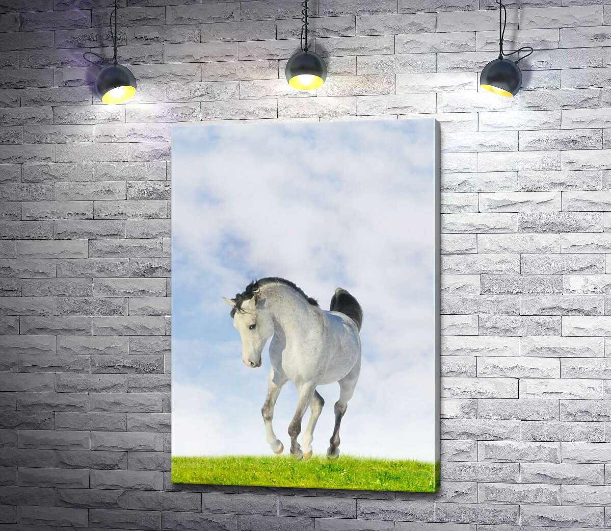 

Картина ArtPoster Белая лошадь скачет по сочной траве 100x144 см Модуль №1