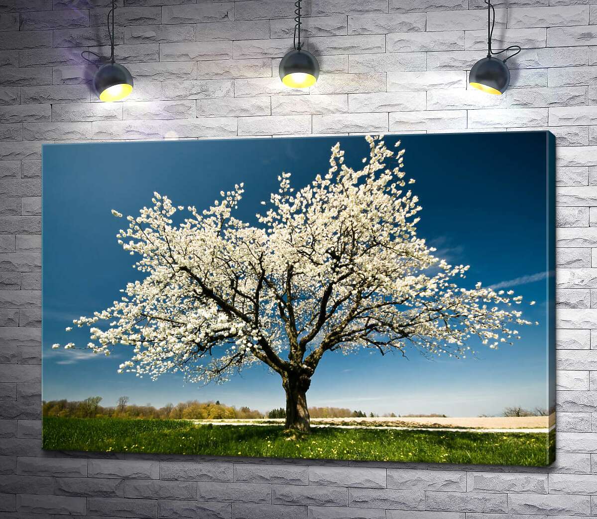 

Картина ArtPoster Ажурное цветение весеннего дерева 100x67 см Модуль №1