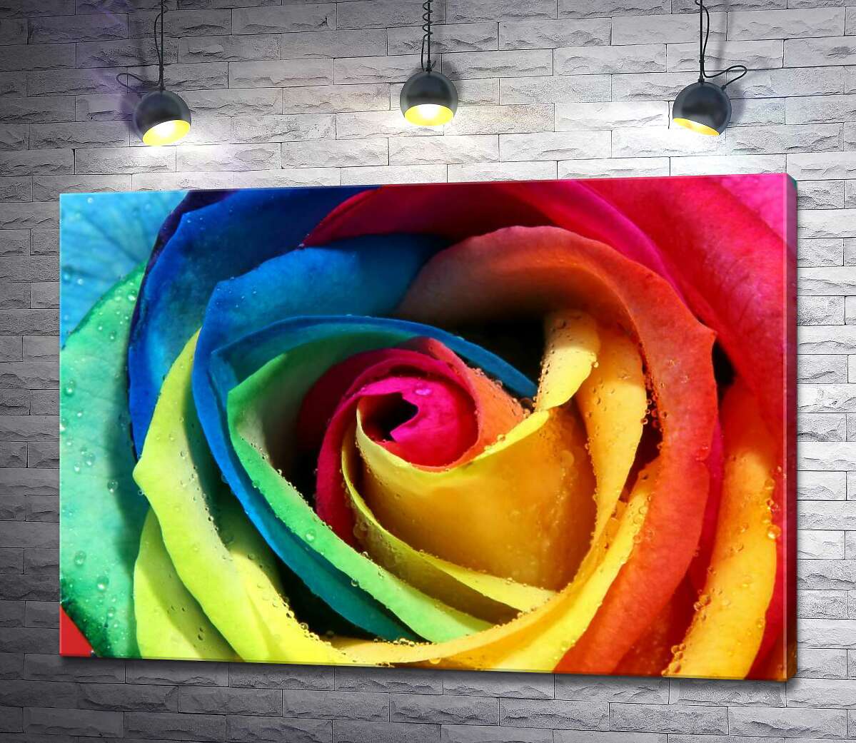 

Картина ArtPoster Бутон радужной розы 100x71 см Модуль №1