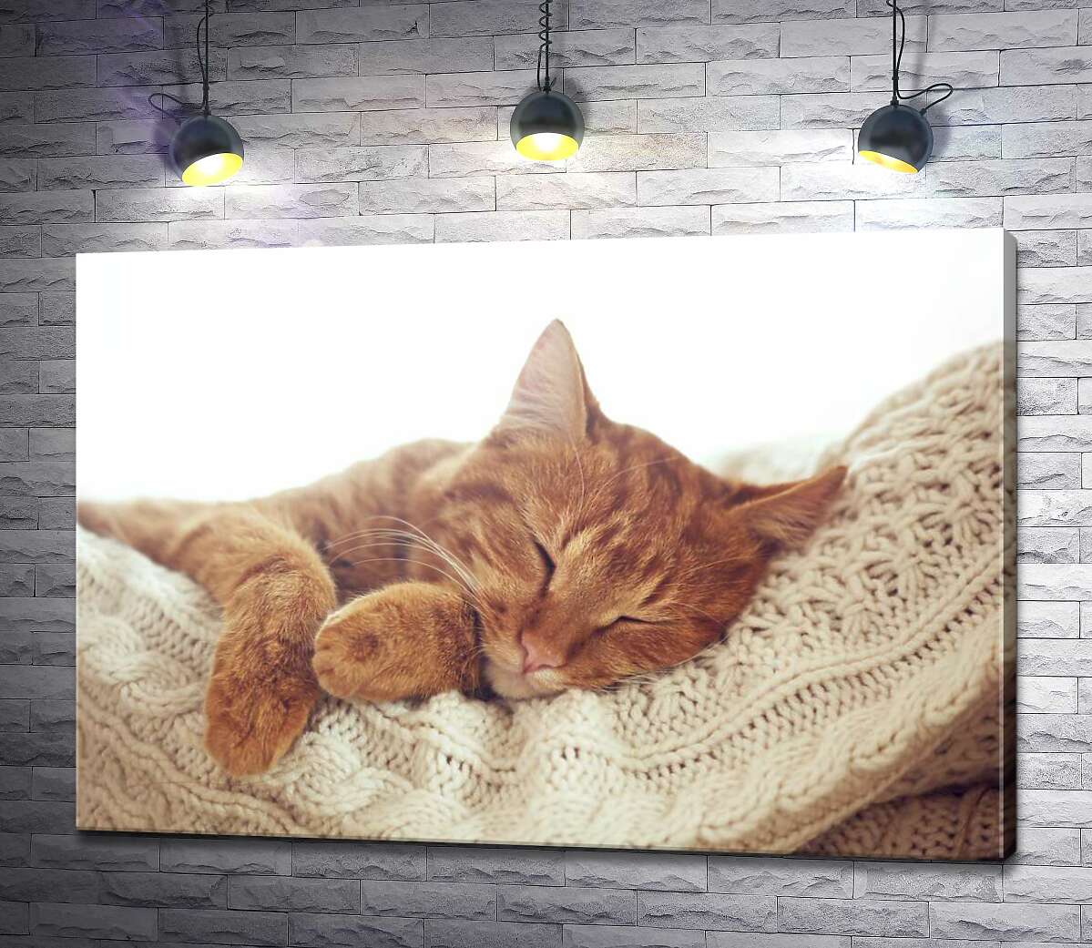 

Картина ArtPoster Кот мило отдыхает на белой подушке 100x69 см Модуль №1