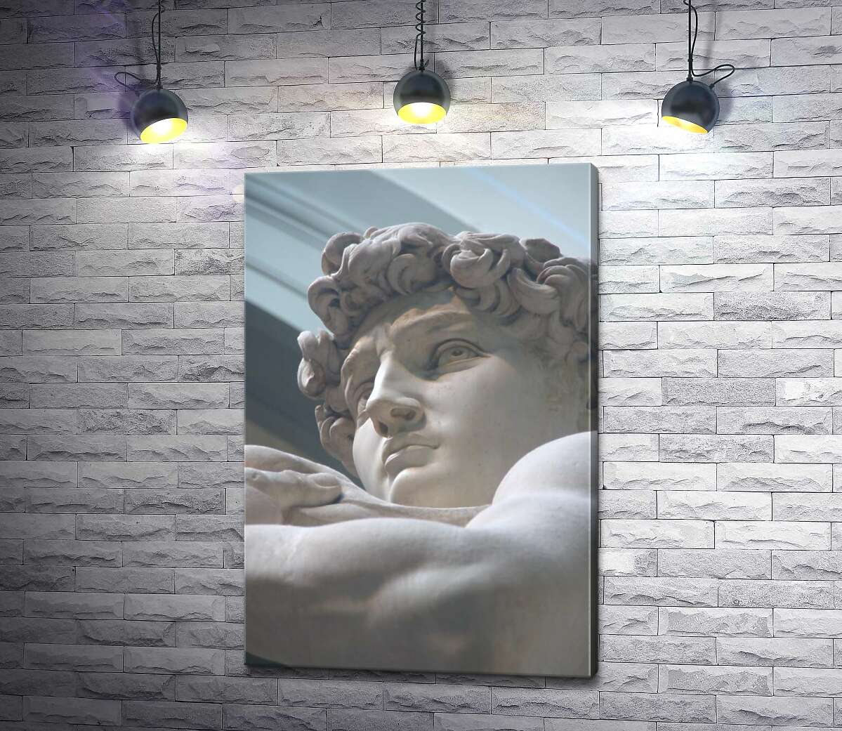 

Картина ArtPoster Лицо мраморной статуи Давида 100x150 см Модуль №1
