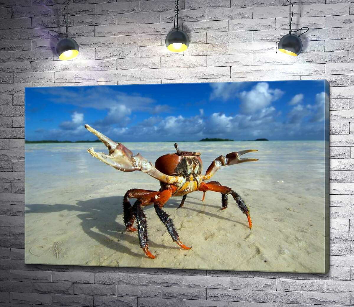 

Картина ArtPoster Краб готовит клешни к нападению 130x85 см Модуль №1