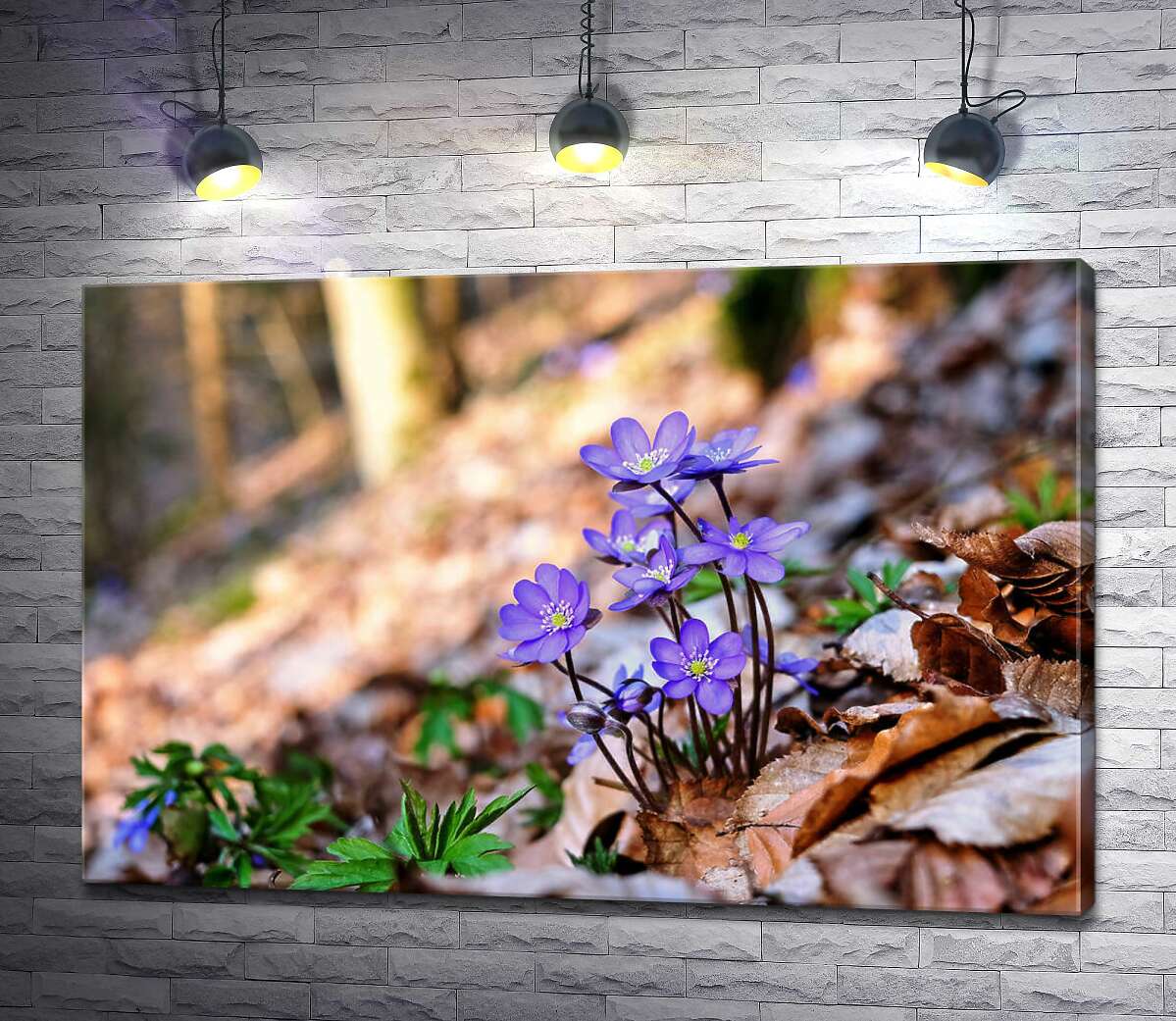 

Картина ArtPoster Куст хрупких перелесок в весеннем лесу 130x87 см Модуль №1