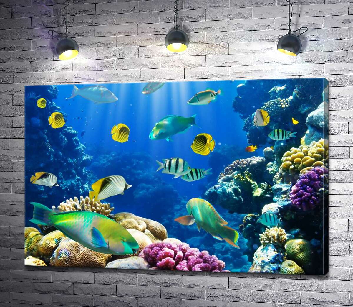 

Картина ArtPoster Красота подводного мира рыб и кораллов 130x87 см Модуль №1