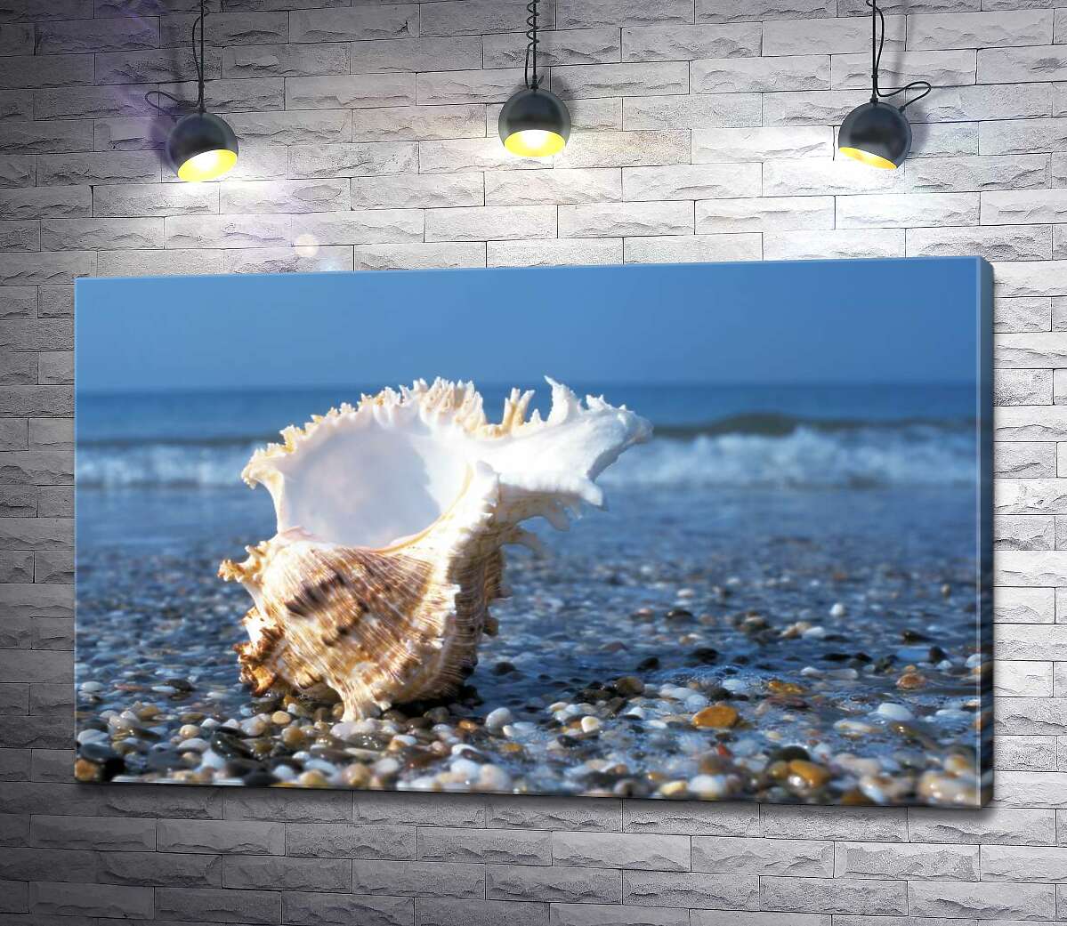

Картина ArtPoster Морская ракушка с вьющимися краями на каменистом пляже 130x81 см Модуль №1