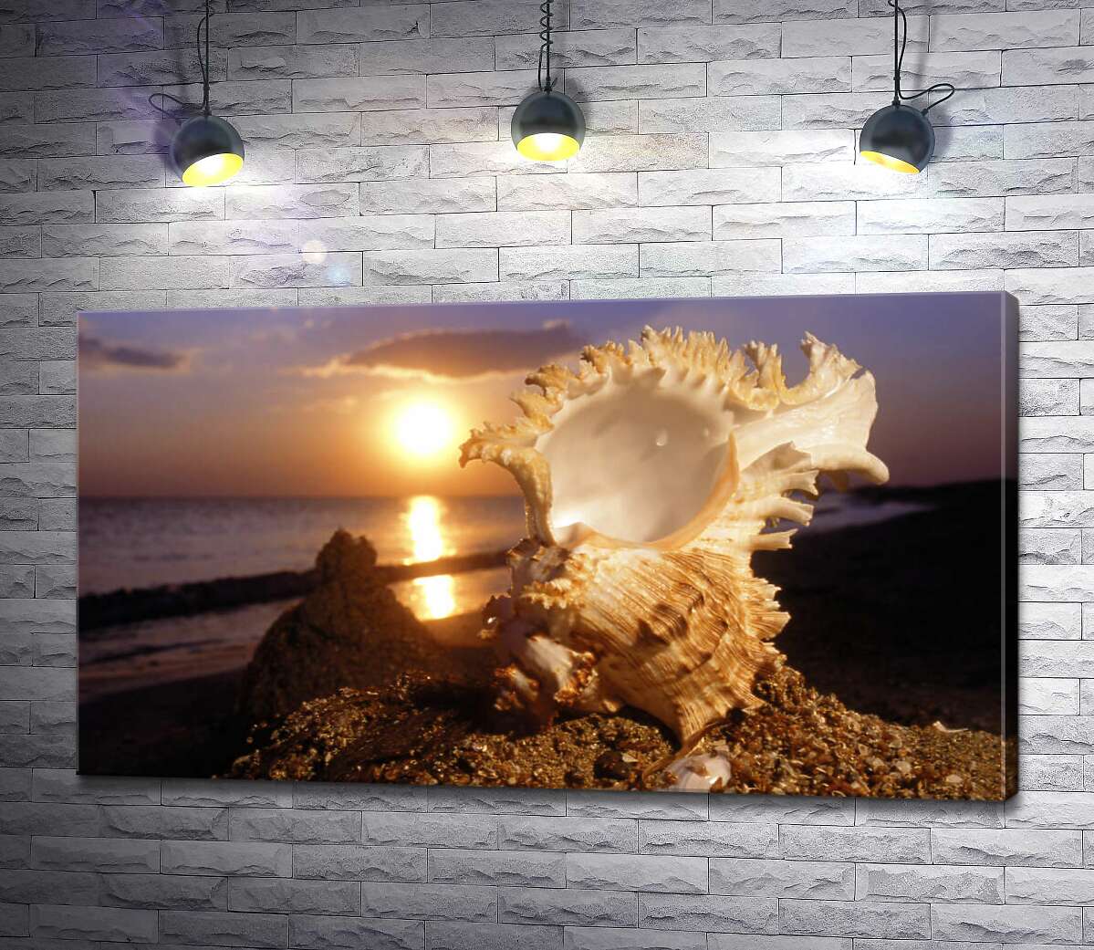 

Картина ArtPoster Причудливые формы морской ракушки на фоне вечернего пляжа 100x56 см Модуль №1