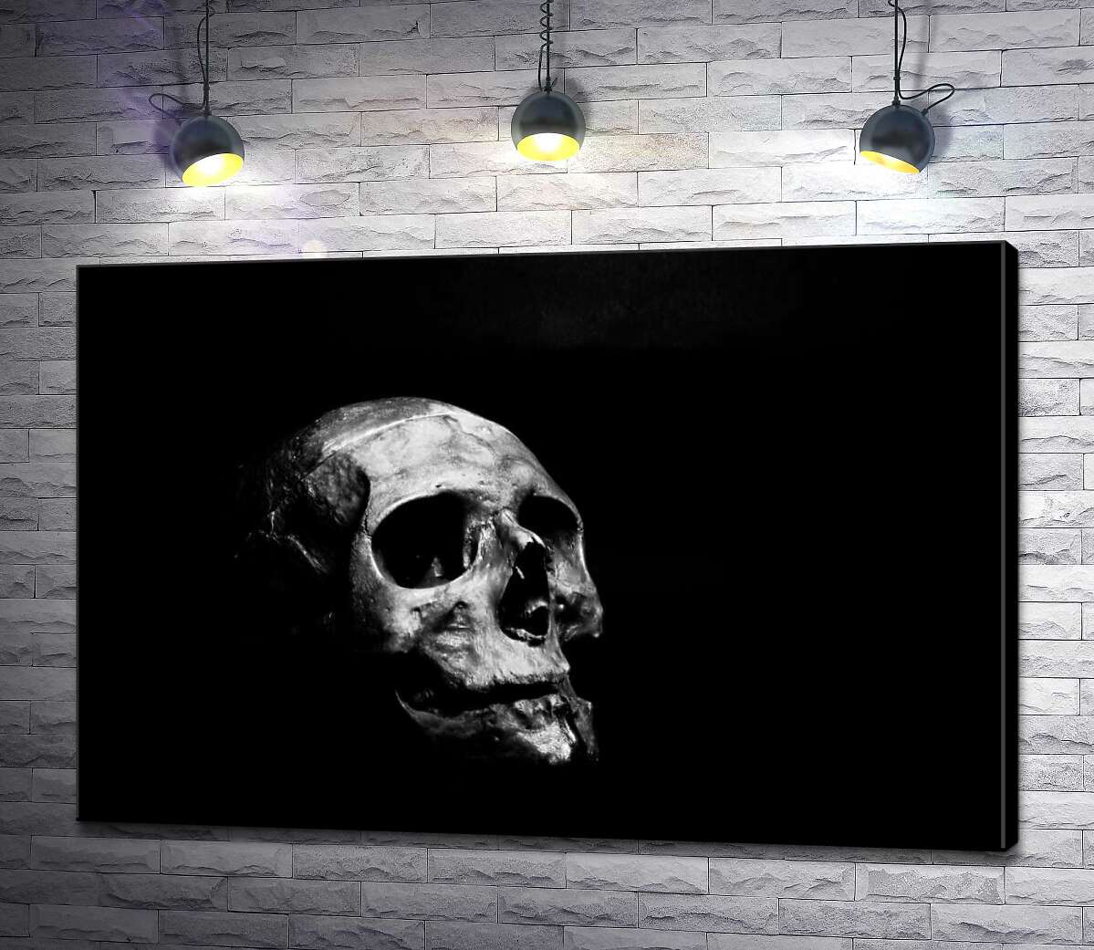 

Картина ArtPoster Светлые формы черепа тонут в густой тьме 100x67 см Модуль №1
