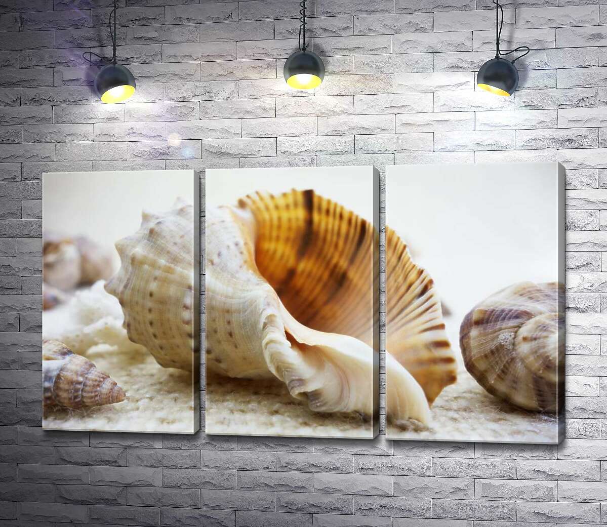 

Модульная картина ArtPoster Ажурные изгибы форм в морских раковинах 132x76 см Модуль №11