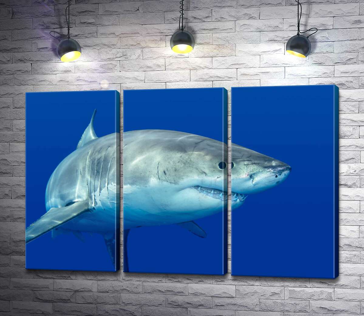 

Модульная картина ArtPoster Белая акула плавает в голубой воде 60x40 см Модуль №11