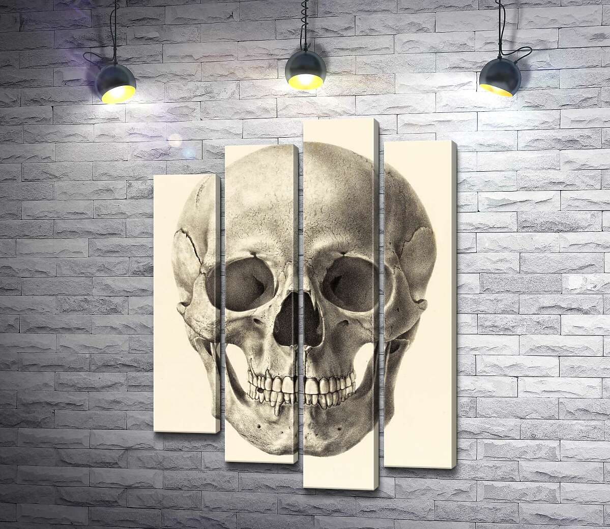 

Модульная картина ArtPoster Анатомия в деталях: череп человека 132x185 см Модуль №21